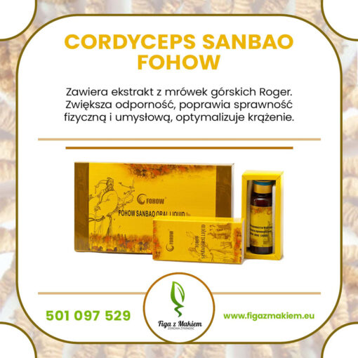 Fohow SANBAO Oral liquid cordyceps dar bogow 3