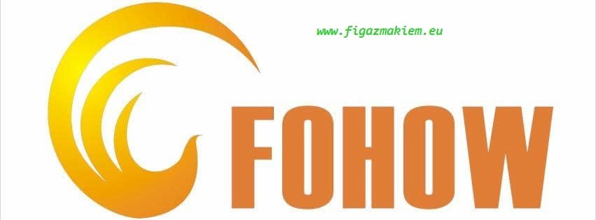 afohow logo 1